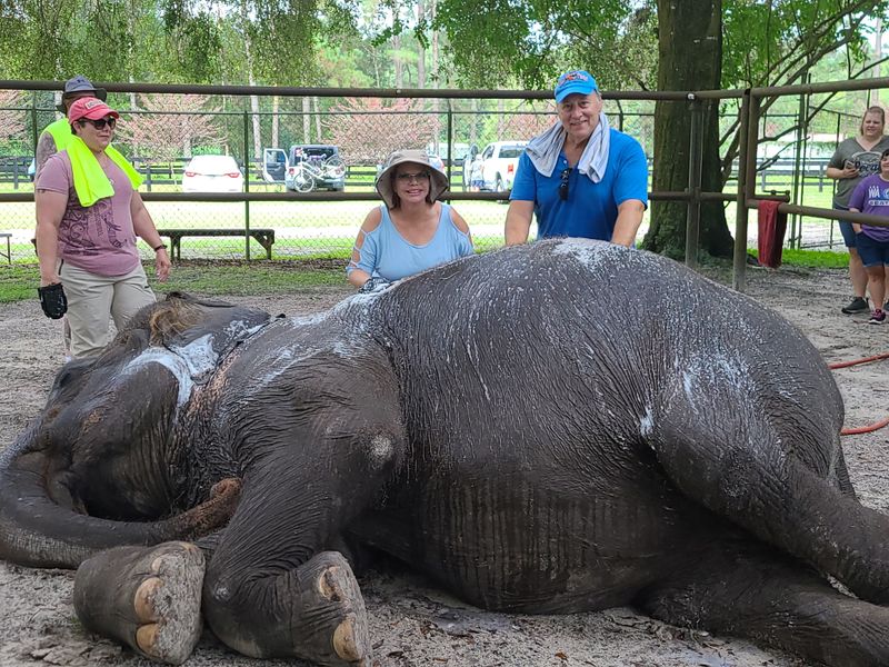 Extreme Encounter: Feed, Bathe, and Photos