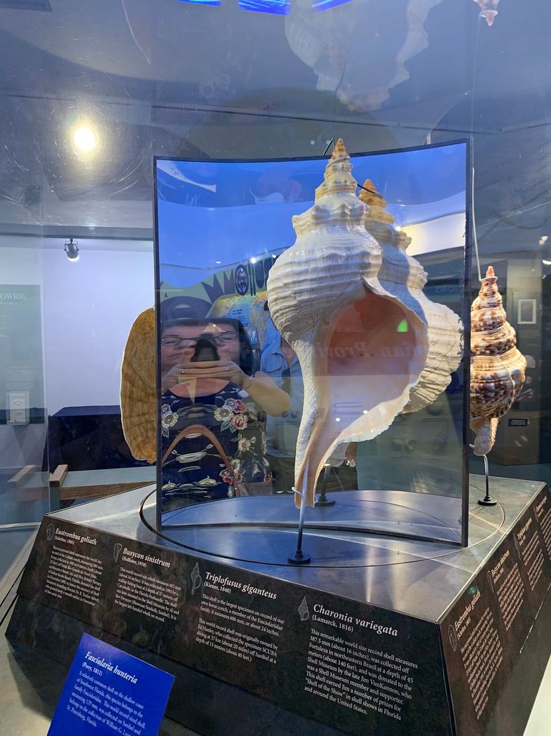 Live Aquariums and Touch Tanks