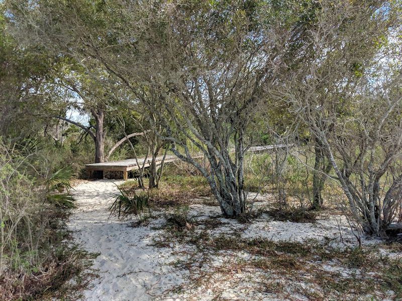 Cedar Key National Wildlife Refuge Island Hop