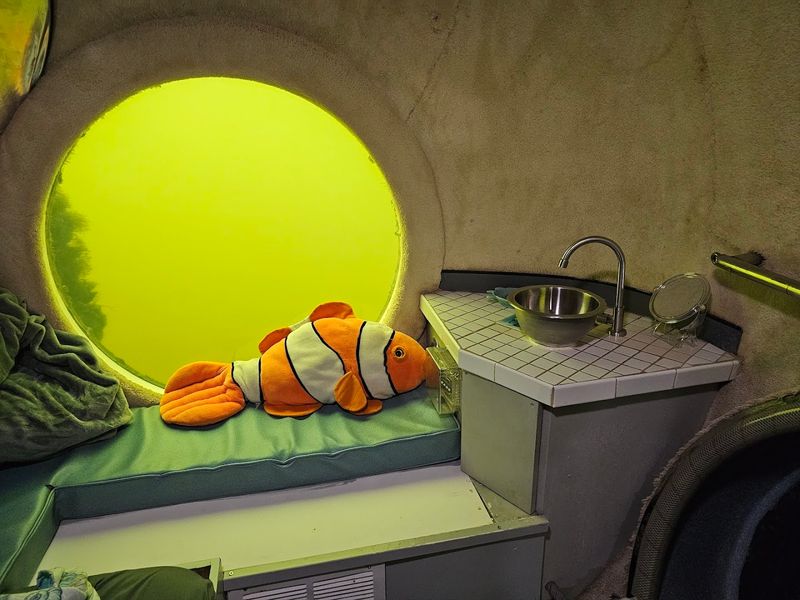 When To Go and What To Pack