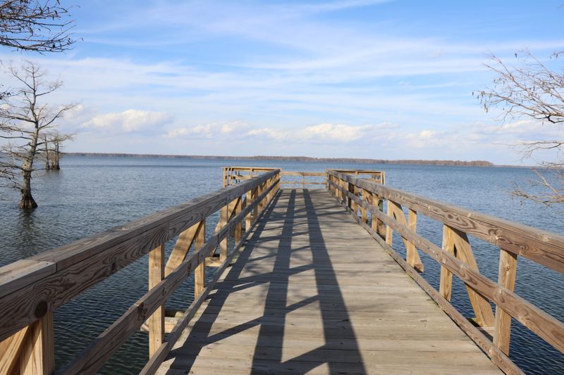 Reelfoot Lake State Park