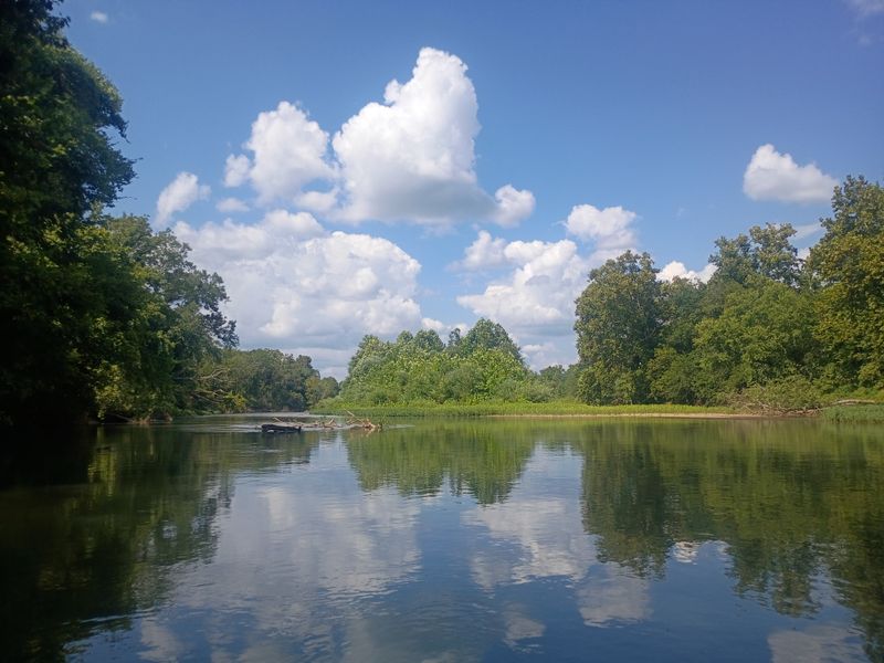 Buffalo River (Wayne County)