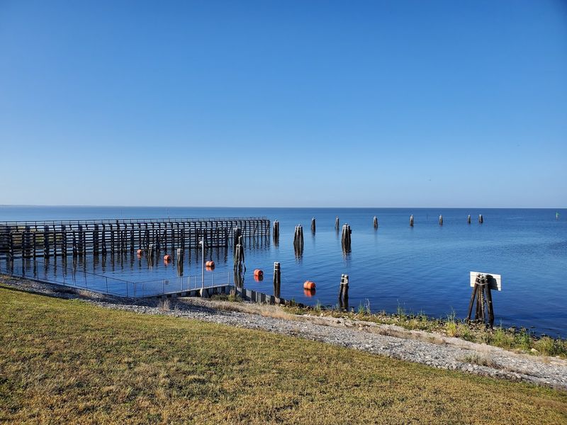 Lake Okeechobee shoreline during blue-green algae health alerts