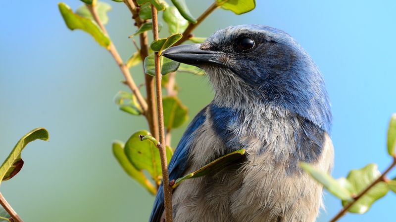 Photography Walk and Ethics