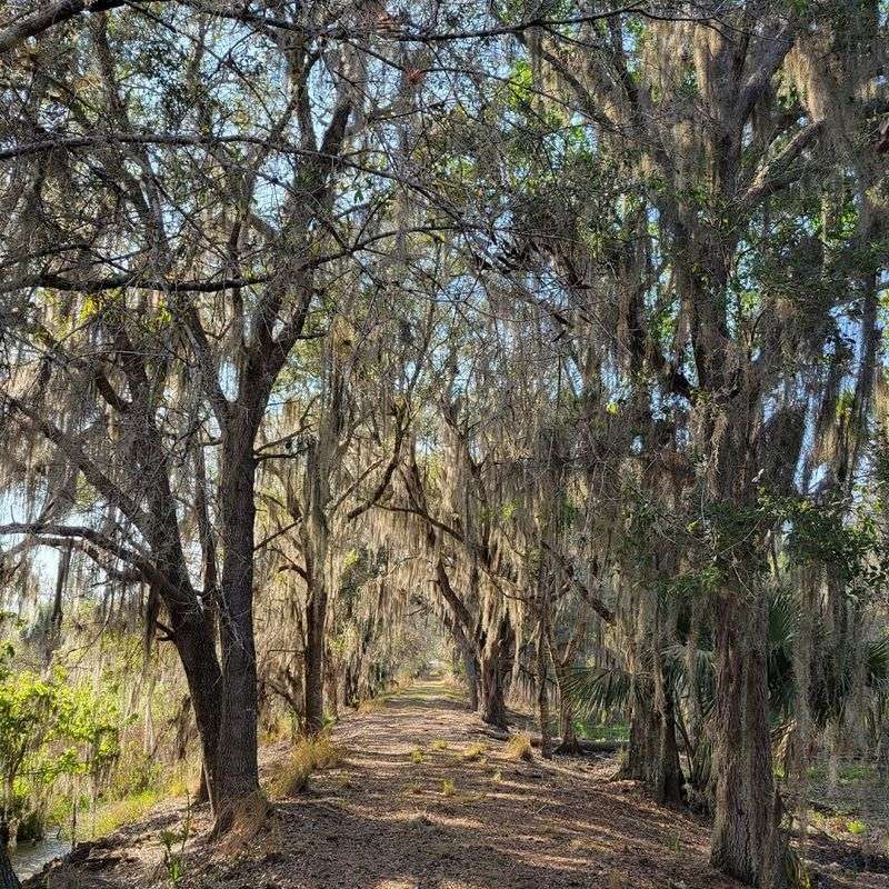 Three Lakes WMA - Prairie Lakes area (near St. Cloud)