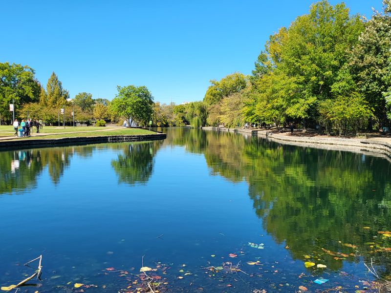 Picnic in a Scenic Park
