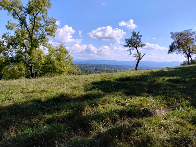 Parks, Trails, and Greene Spaces