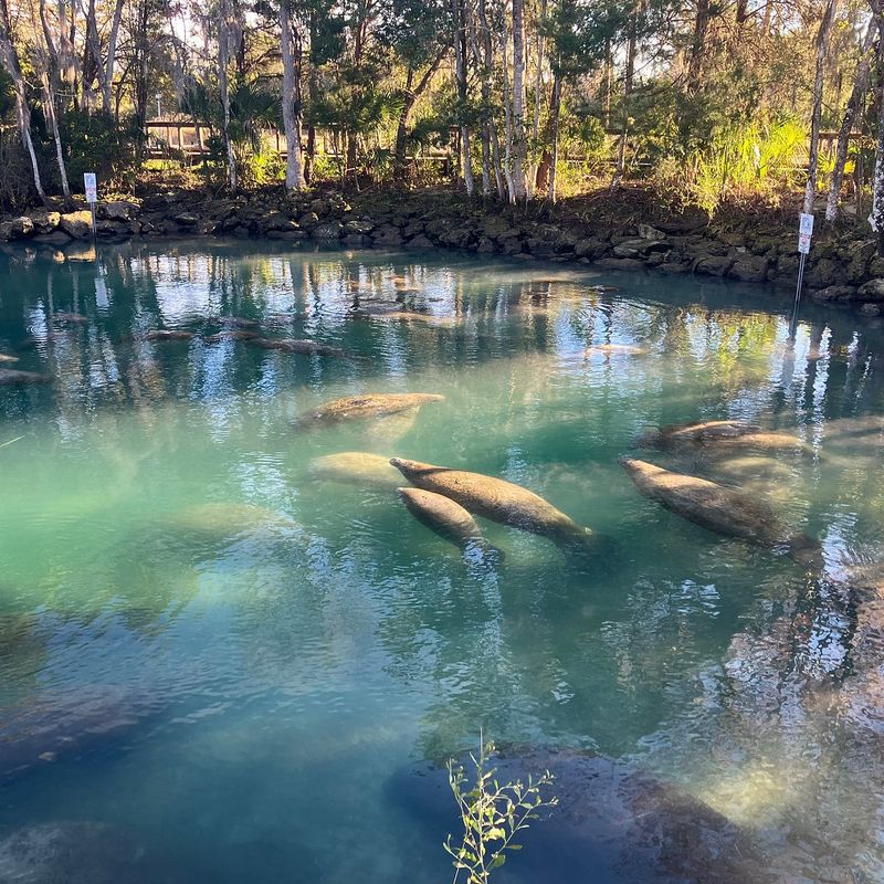 Three Sisters Springs