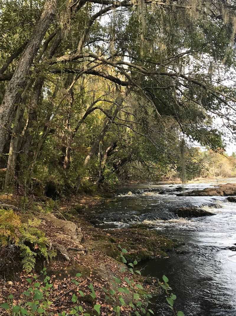 Big Shoals State Park (White Springs)
