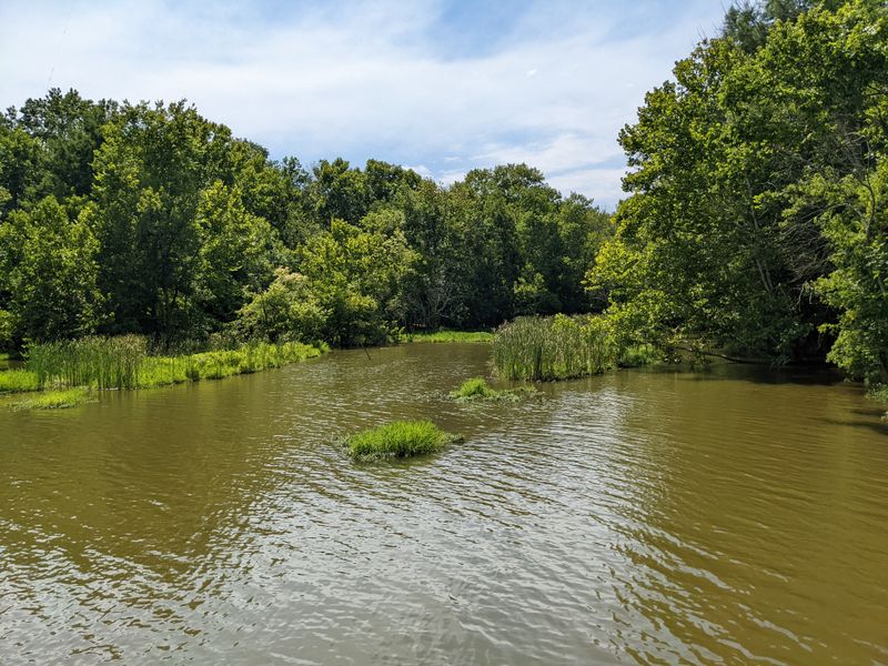 Bledsoe Creek State Park (Gallatin)