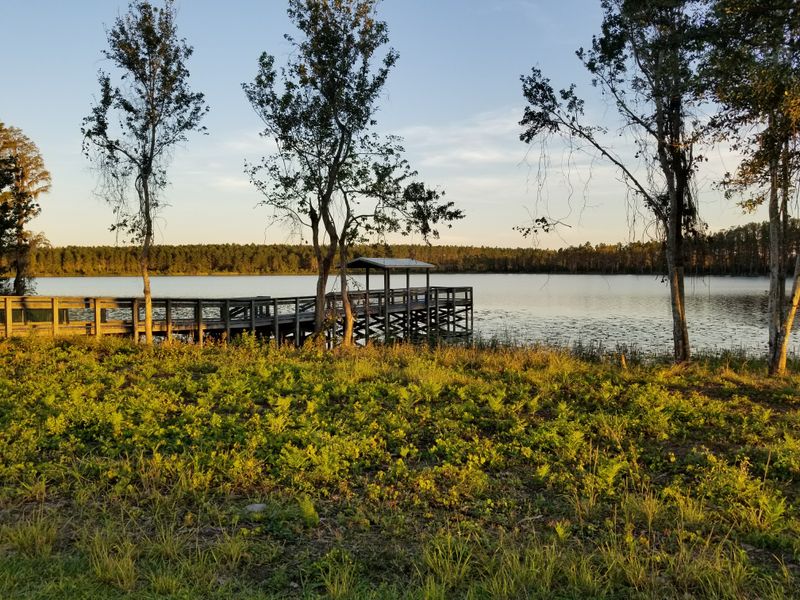 Lake Louisa State Park (Clermont)