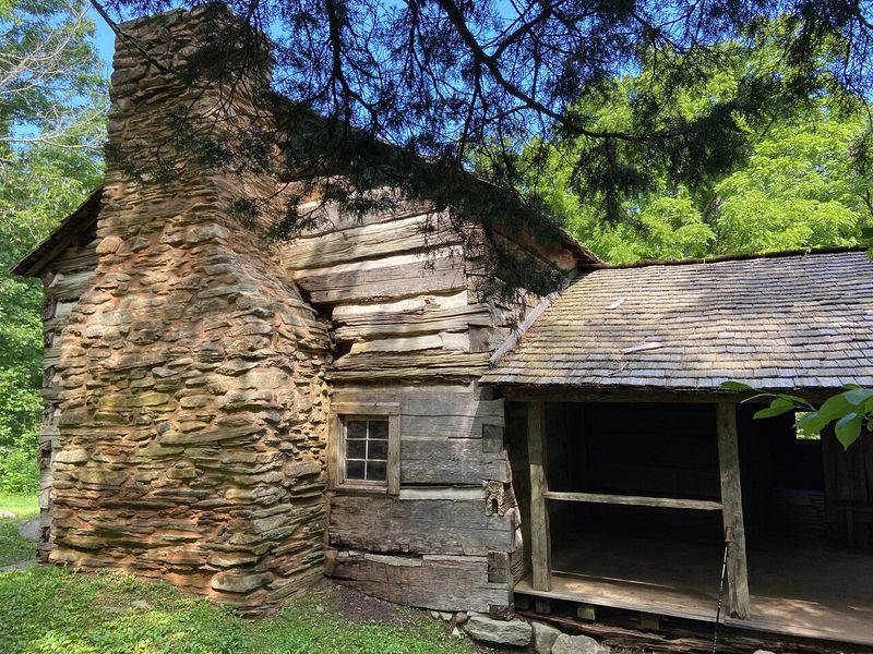 Life on the Homestead: Farming, Spinning, and Self-Sufficiency