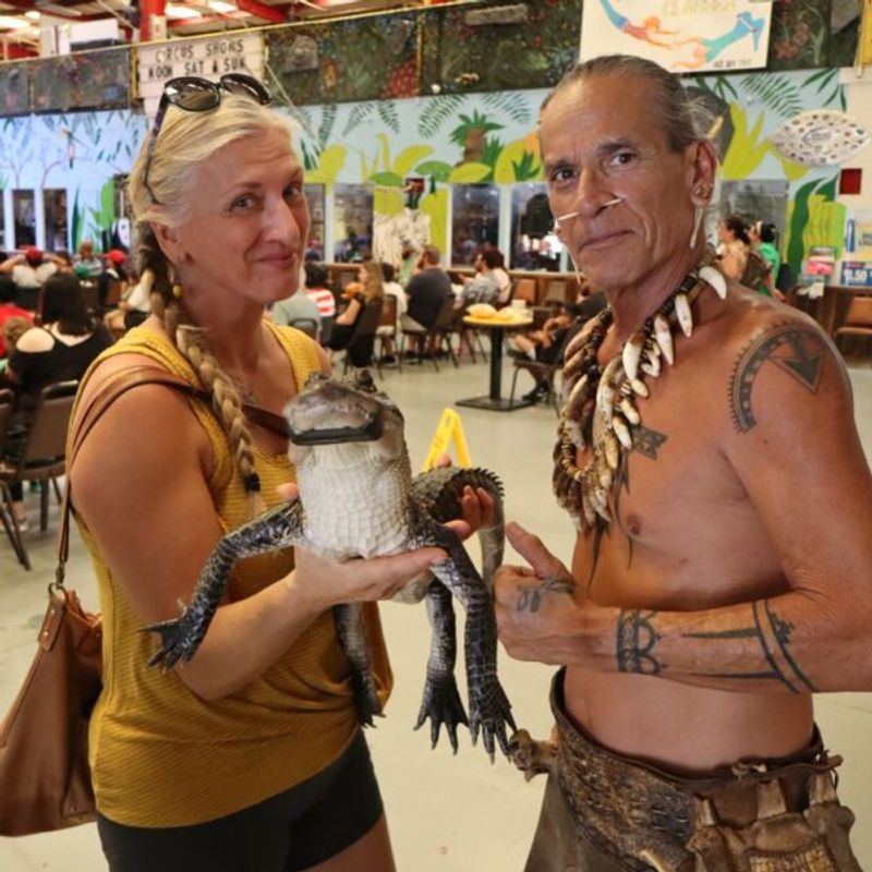 Free Circus And Gator Show