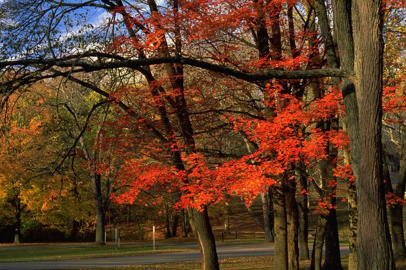 John Bryan State Park, Yellow Springs