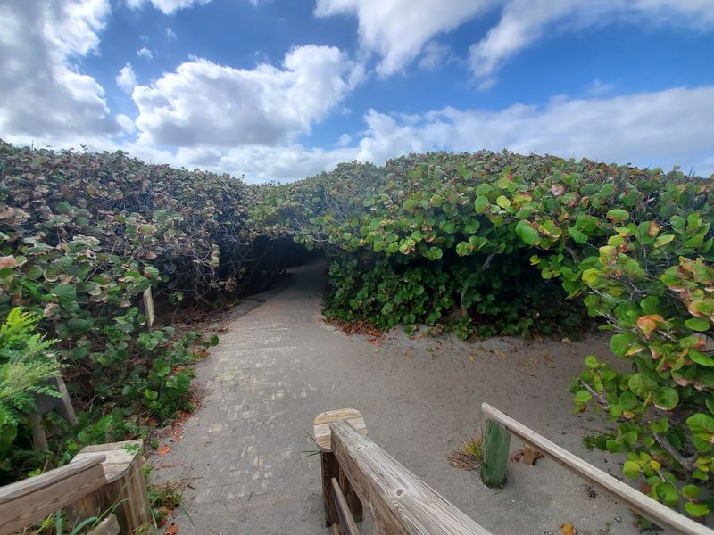 Dune Trail, Blowing Rocks Preserve (Jupiter Island)