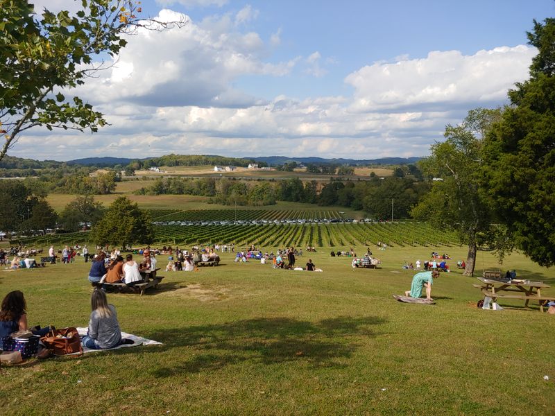 Arrington Vineyards Picnic