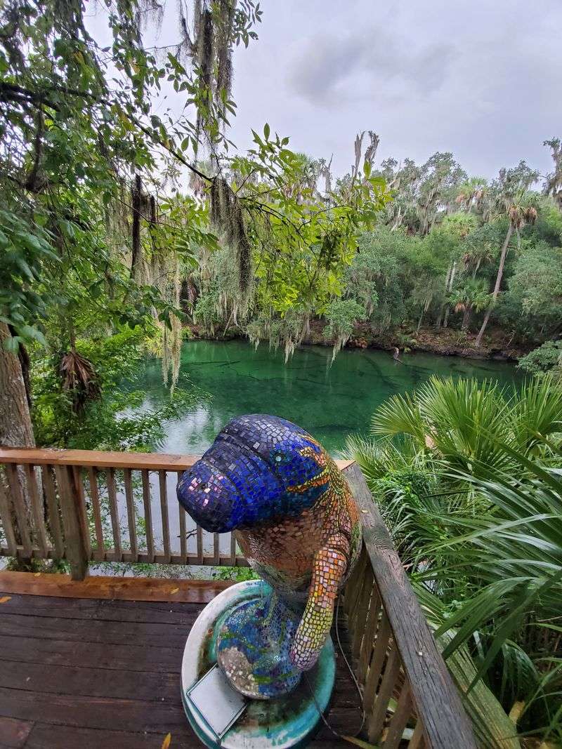 Blue Spring State Park (Orange City / near DeLand)