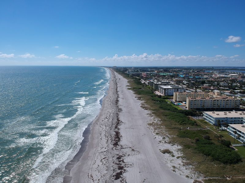 Indialantic & Cocoa Beach area (Sea Turtle Preservation Society)