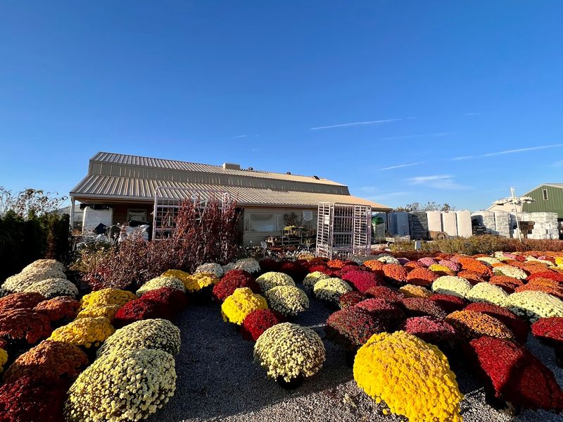 Elbee's Garden Shop (Spencer)