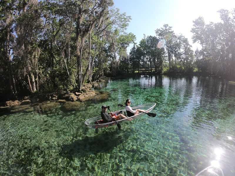 Kayaking Through Spring-Fed Channels