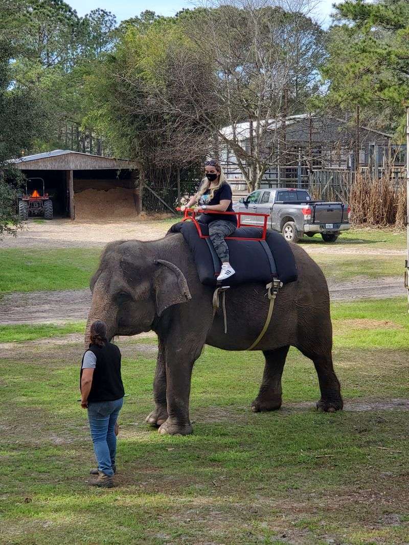 Two Tails Ranch (Williston)