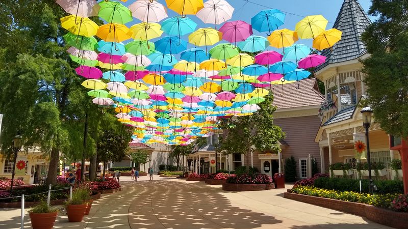 Experience Dollywood