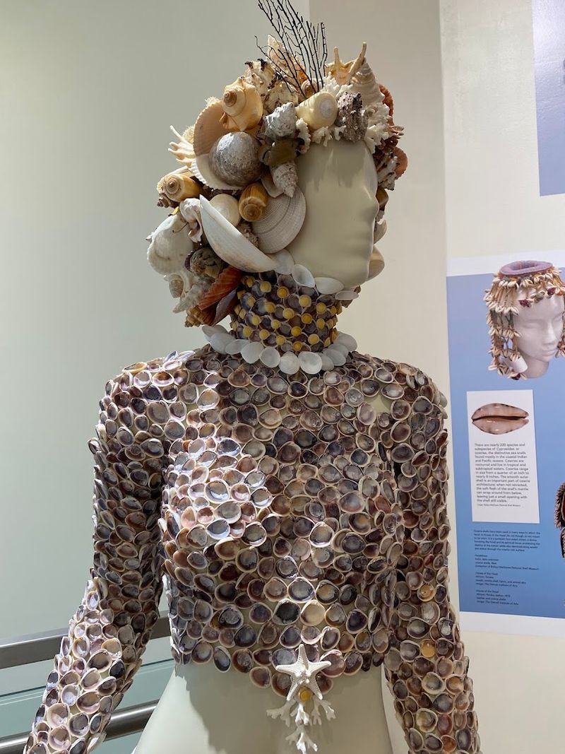 Bailey-Matthews National Shell Museum (Sanibel)