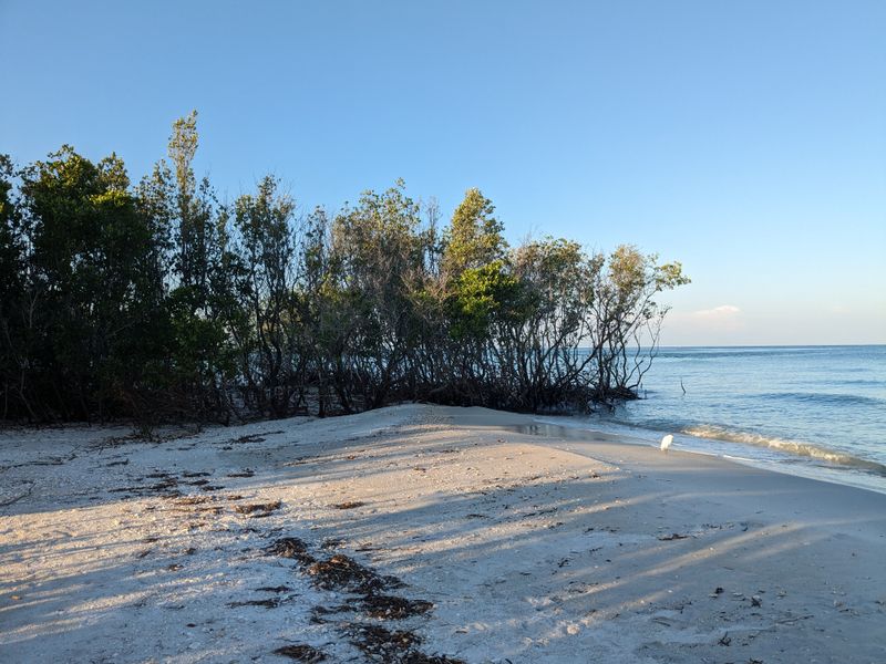 Shell Key Preserve