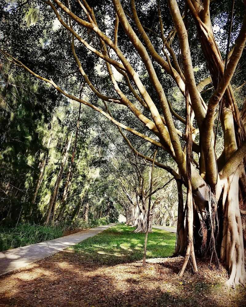 Pair It With Hobe Sound Beach