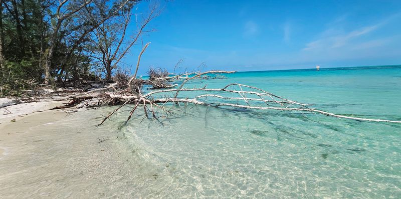 Fishing the Passes and Docks