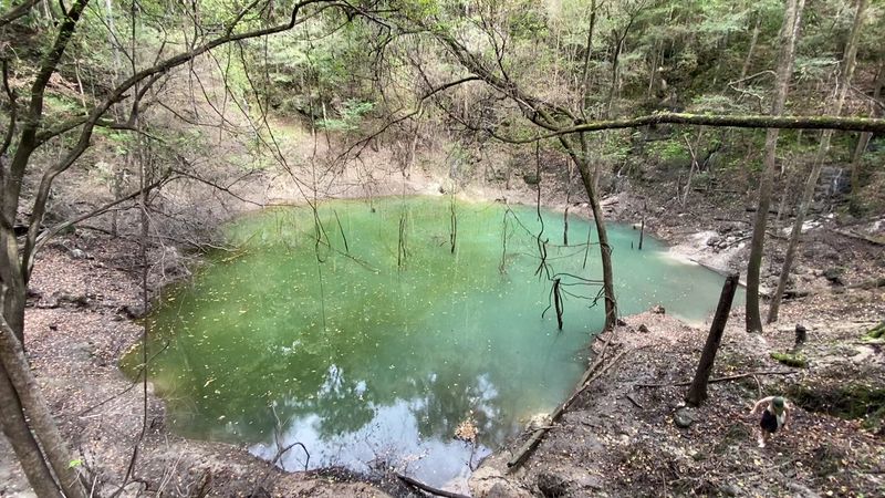 Seasonal Waterfalls And Vanishing Streams