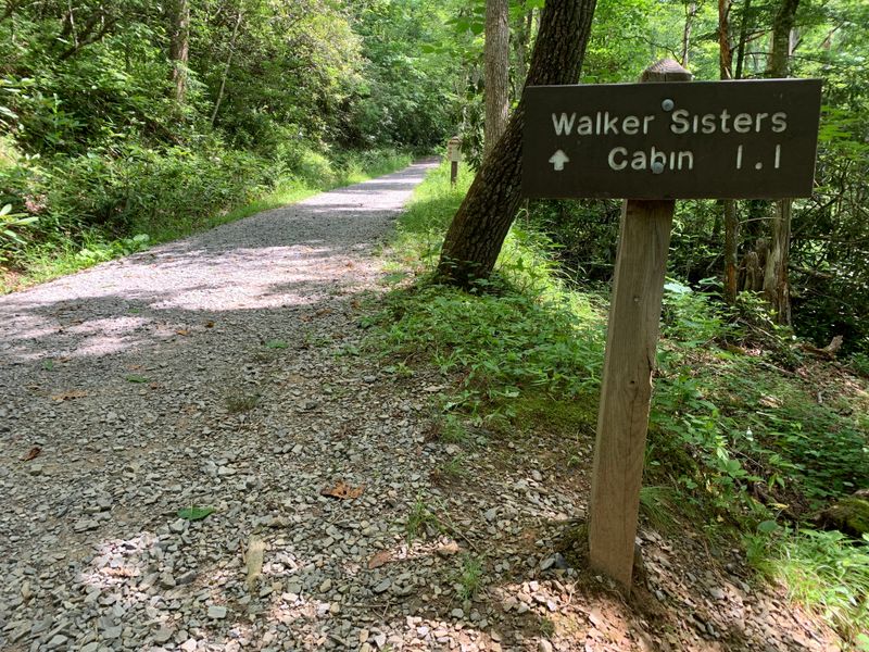 Hiking the Little Greenbrier Gap Trail to Reach the Cabin