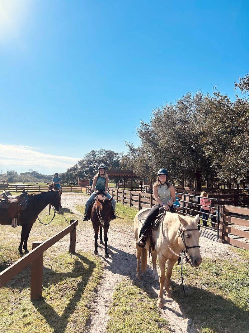 Horseback Rides and The Petting Farm