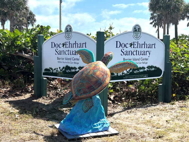 Sea Turtle Nesting Season (May–October)