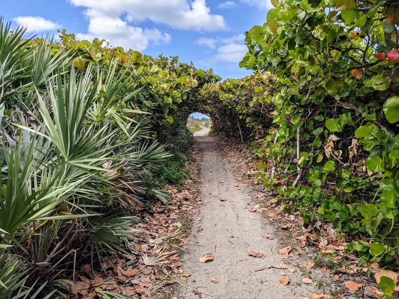 Blowing Rocks Preserve (Jupiter Island)