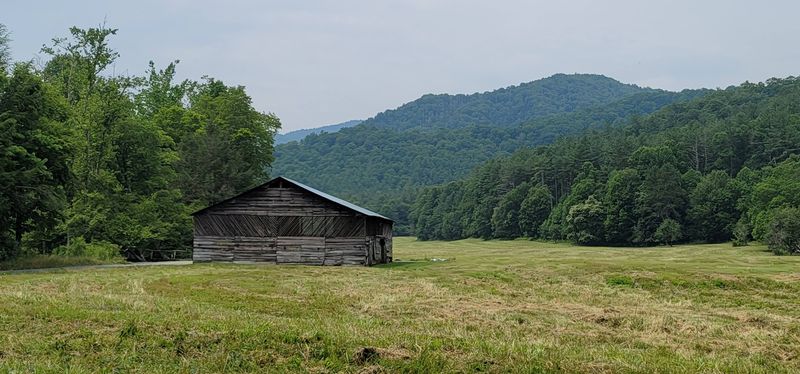 Cataloochee Valley