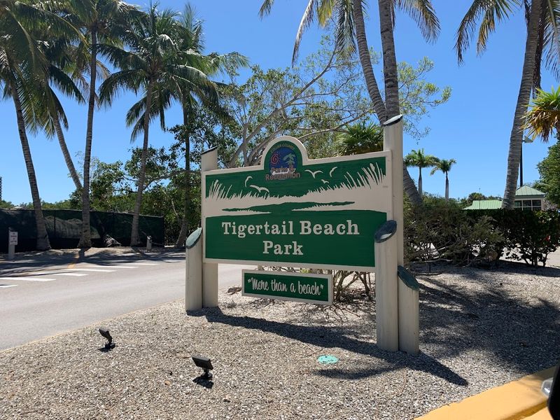 Respecting Wildlife and Staying Safe