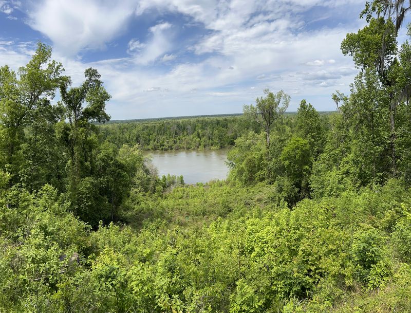 Torreya State Park Overlooks