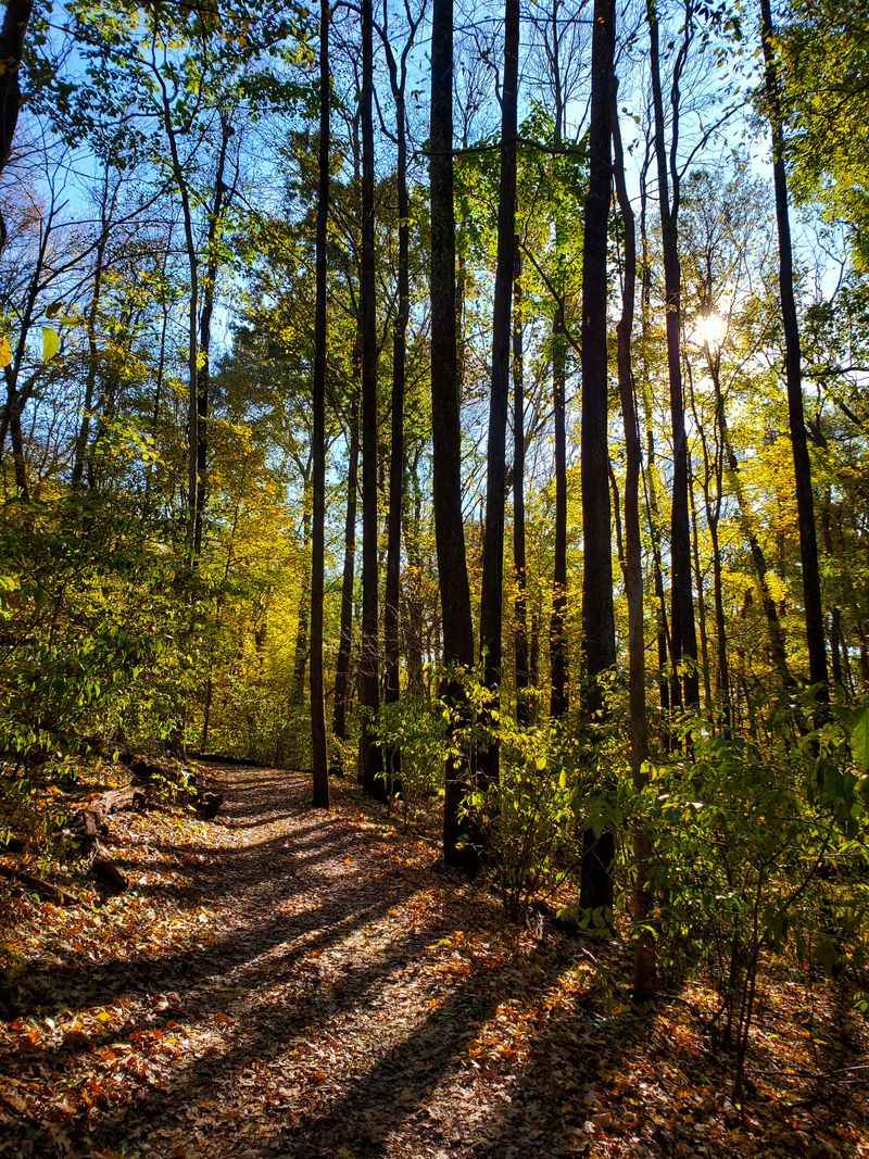 Radnor Lake Lake Trail (Nashville)