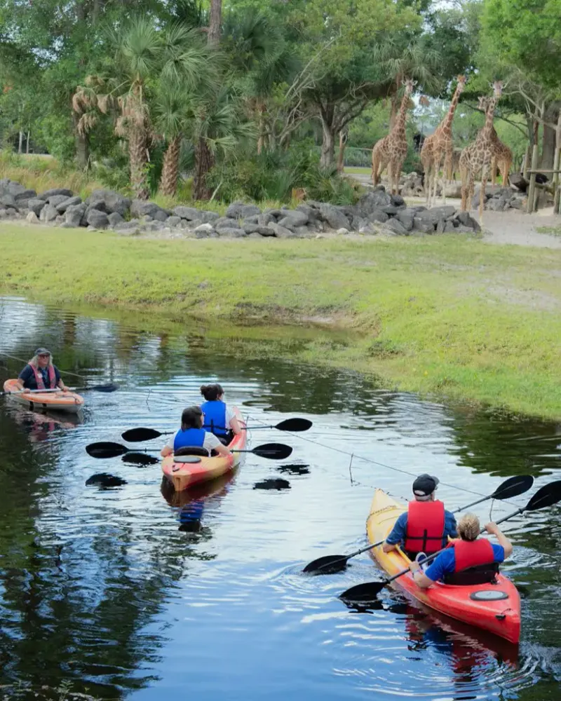 Kayaking the Nyami Nyami River