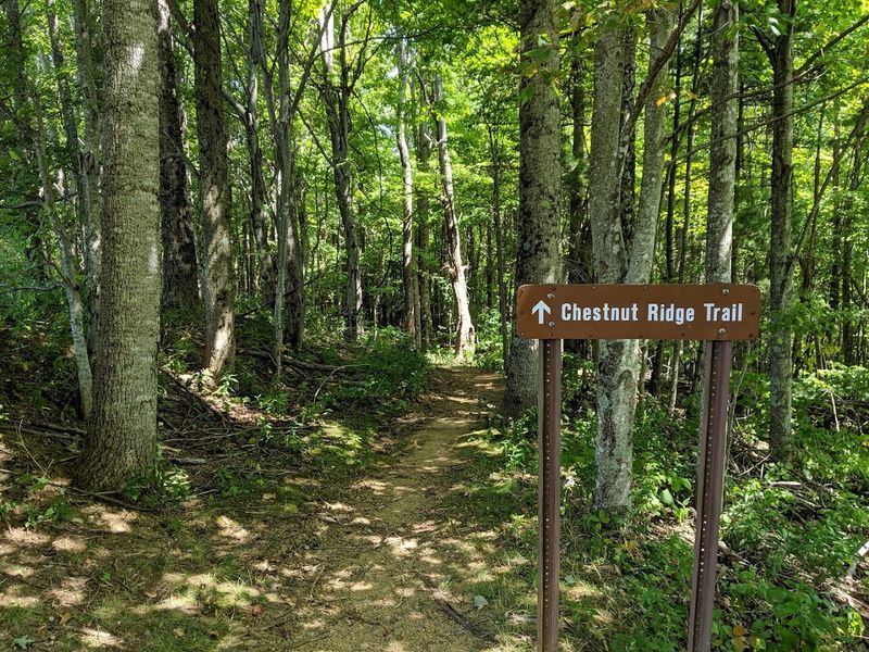 Ride the Trails at Roan Mountain State Park