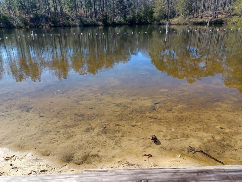Turtle Lake Swim Area and Picnic Spots