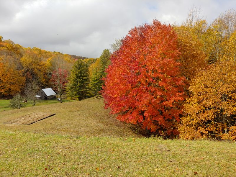 Roan Mountain State Park