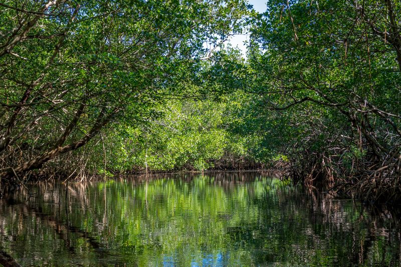 Collier-Seminole State Park