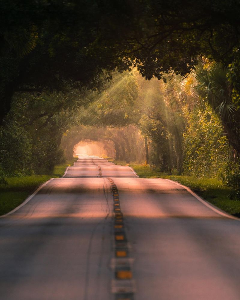 Photography and Film Inspiration