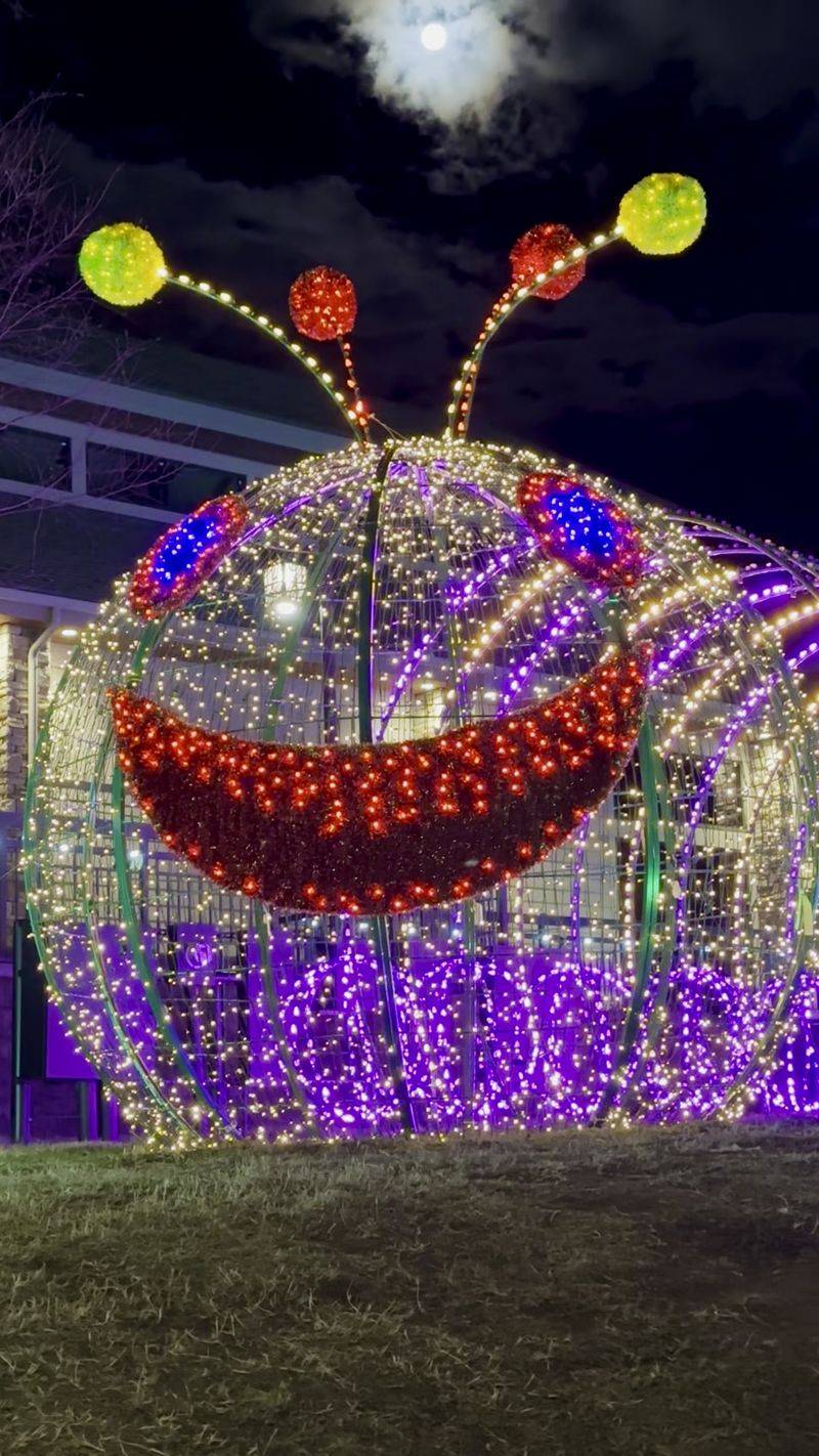 Winterfest Lights (Pigeon Forge)