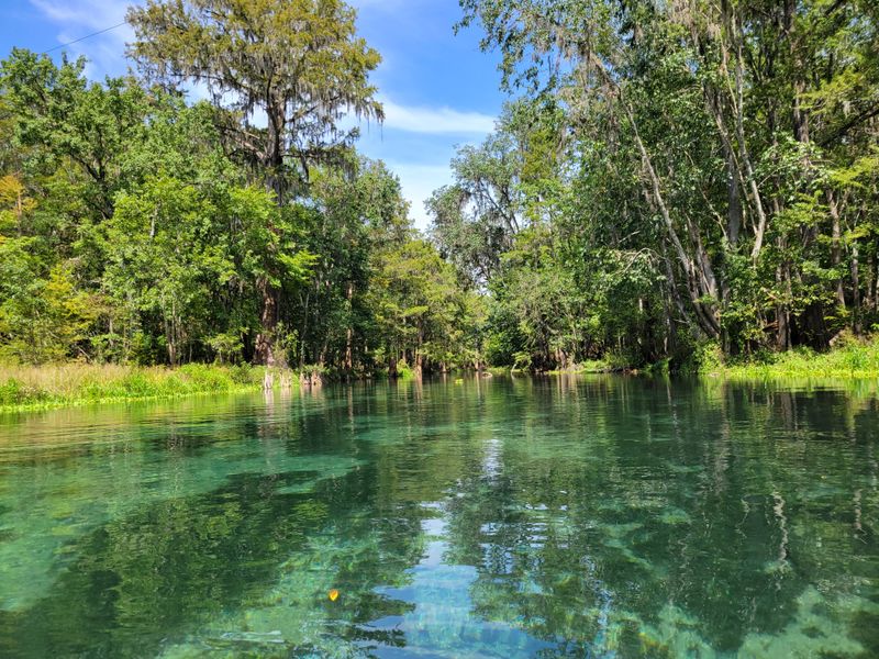 Ichetucknee Springs State Park