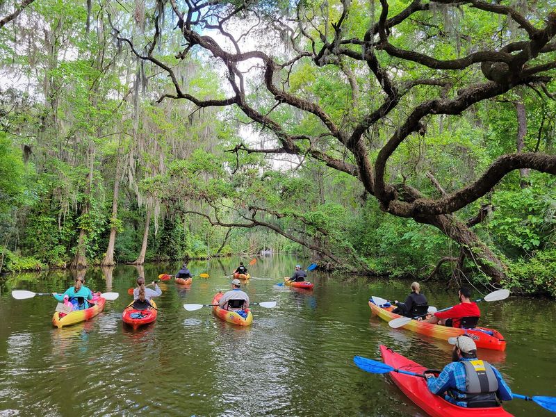 Take a boat/eco tour through the Dora Canal