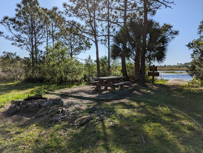 Myakka River State Forest Trails (Manatee County)