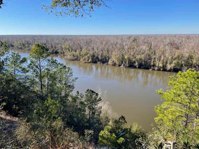 Garden of Eden Trail (Apalachicola Bluffs and Ravines Preserve)